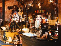 -雪灵魔法世界SHELLY’S TAROT(大良桂畔里店)