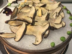 见手青-芸山季·云南山珍菌火锅(南翔印象城MEGA店)