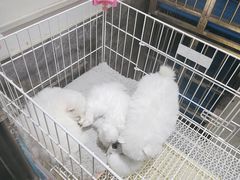 -山东柏宁水族批发广场