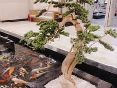 -天沐温泉(抚顺店)