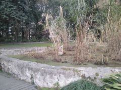 -成都市活水公园