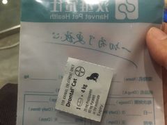 -暖阳宠物医院·犬猫康复中心·骨科