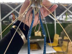 -会江钓鱼钓虾烧烤场