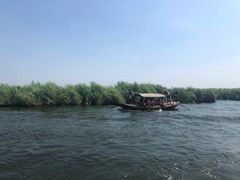 -白洋淀景区