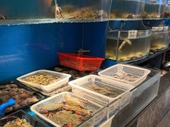 -福来齐·鲁菜海鲜·渔家菜(朝阳街分店)