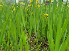 -终南山南五台景区