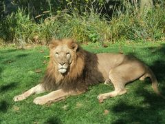 -北京野生动物园