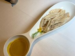 -梧桐