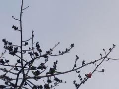 -广州雕塑公园