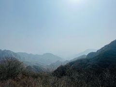 -大岭沟猕猴桃谷风景区