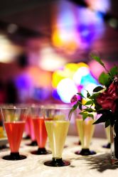 -安利上海体验馆