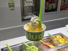 -Salud撒露欧洲冻酸奶(北苑上品店)