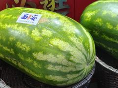 -金华安大酒楼·老牌潮菜·粤式茶点(东方国际店)