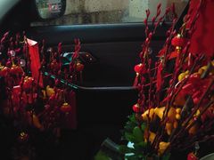 -双季花艺园艺市场(浦东店)