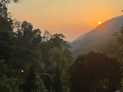 -皇鸽餐厅(龙塘店)