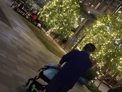 -杭州城中香格里拉大酒店