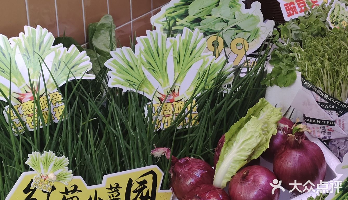 人在火锅店，甜品都快给我吃傻了……