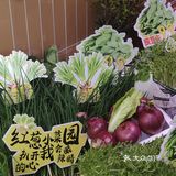 人在火锅店，甜品都快给我吃傻了……