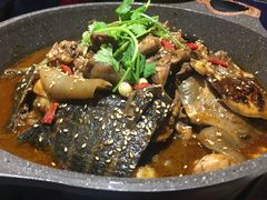 -甲大帅·甲鱼·椰子鸡主题餐厅(唐家店)
