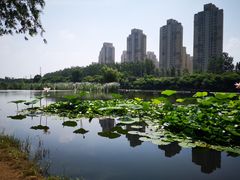 -前关湿地公园