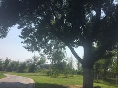 -永定河休闲森林公园