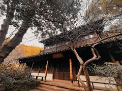 -杭州植物园