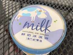 鲜奶冰淇淋-瑞穗牧场花莲门市