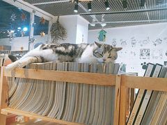 -小时光咖啡馆(开森度假森林店)