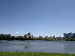 -莲花池公园