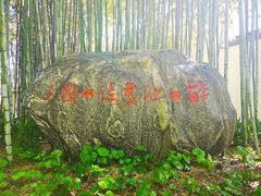 -上海醉白池公园