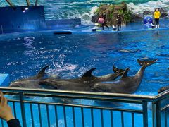 -多彩贵州城极地海洋世界