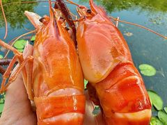 -欢乐蟹庄·精品农家乐(阳澄湖莲花岛店)
