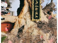 -大槐树寻根祭祖园