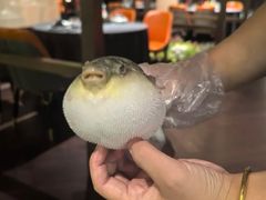 -肆月河豚·淮扬菜·湘菜(华天店)