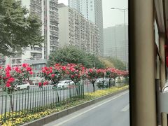 -观音桥步行街