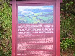 -紫鹊界梯田景区