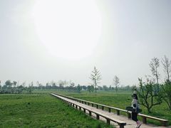 -汉长安城未央宫国家考古遗址公园