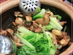-华仔土鸡店(南洲分店)