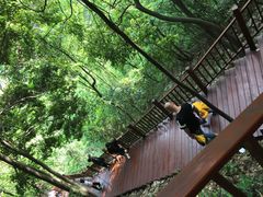 -太湖源风景区