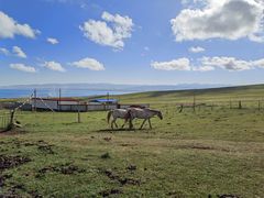 -青海湖国家重点风景名胜区