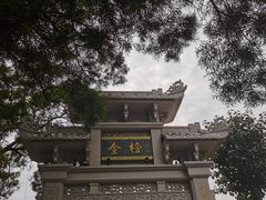 -顺峰山公园