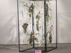 -深圳国际园林花卉博览园