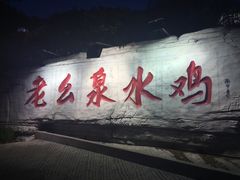 -老幺泉水鸡