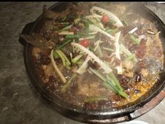 -老板恋上鱼(恒隆广场店)