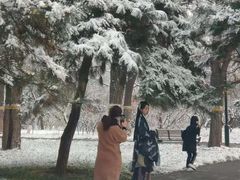 -玲珑塔公园
