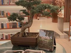 -二酉书店TOYOU BOOKS