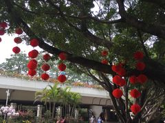 -人民公园(罗湖区)