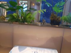 -马家斑.鲜鱼火锅(松湖万科店)