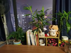 -佰推·肩颈腰·推拿理疗(湾悦城店)