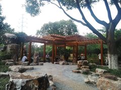 -荆川公园